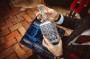 Zestaw do whisky: kryształowa karafka + kryształowe szklanki do whisky 6szt w opakowaniu prezentowym King KZ11